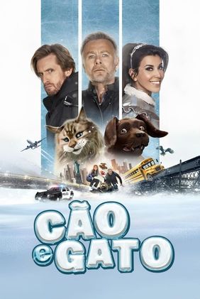 Cão e Gato